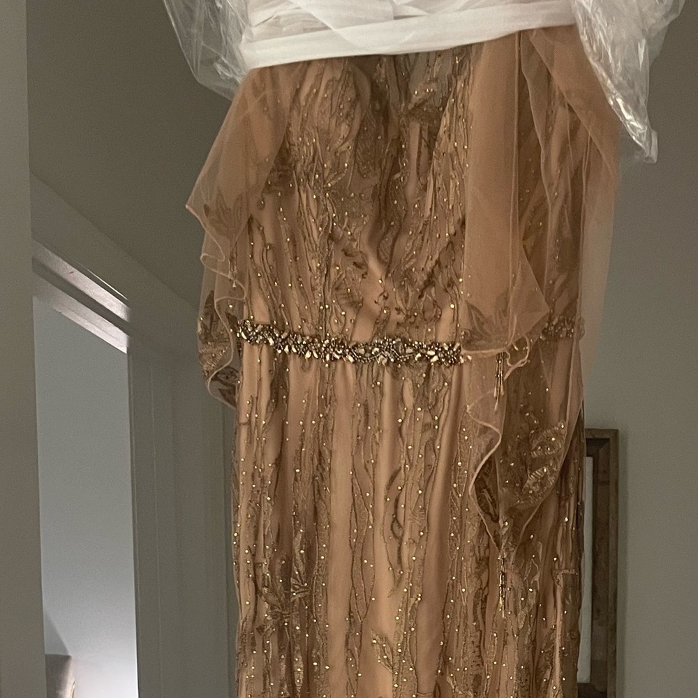 Cameron Blake Mother of the Bride Dress